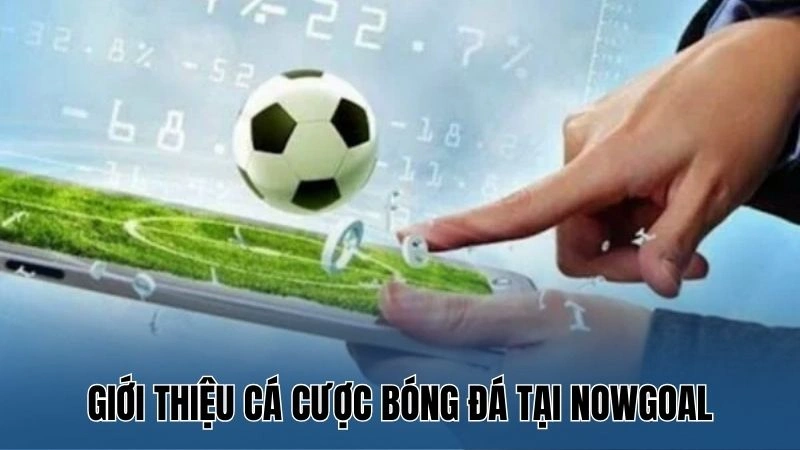 Hướng Dẫn Cách Chơi Bóng Đá Cho Người Mới Tại Nowgoal 3 Cá cược tài xỉu đơn giản và phổ biến trong bóng đá