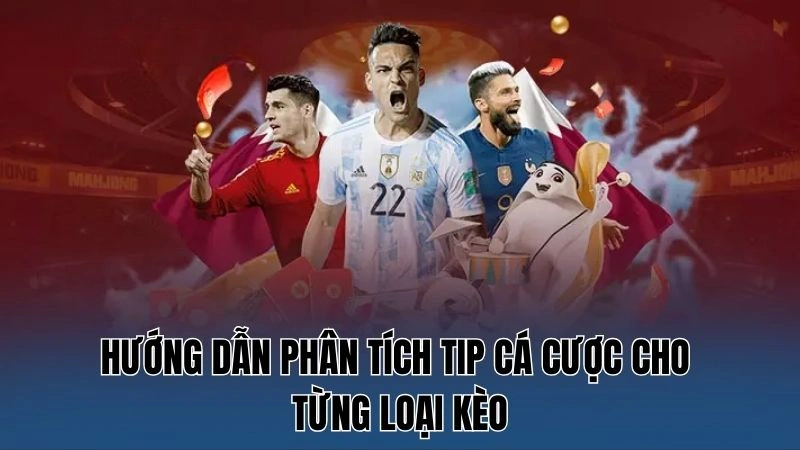 Tip Cá Cược Bóng Đá Hôm Nay: Chiến Lược Hiệu Quả Cho Tân Thủ 3 Hướng dẫn phân tích tip cá cược cho từng loại kèo