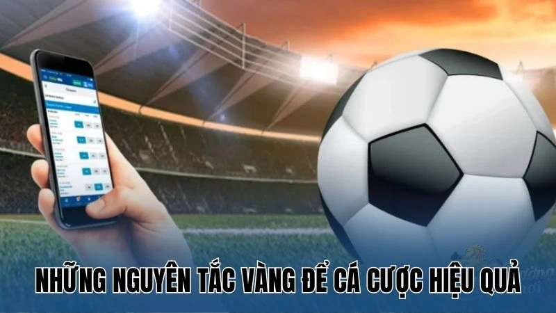 Tip Cá Cược Bóng Đá Không Thua – Cách Thắng Lớn Từ Nowgoal 2 Những nguyên tắc vàng để cá cược hiệu quả